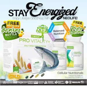 Supplements to Stay Energized