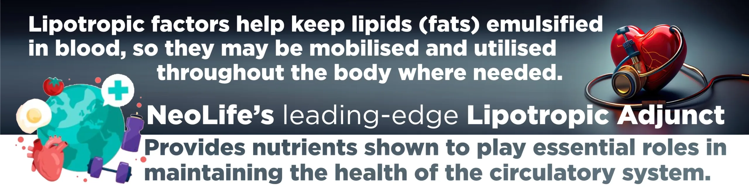 The Ultimate Wingman for Your Heart and Circulatory Health